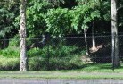 Abbotsford NSWchainlink-fencing-9.jpg; ?>